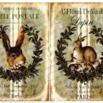 Ριζόχαρτο ST0137