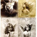 Ριζόχαρτο ST0189