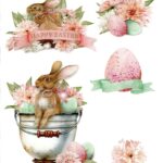 Ριζόχαρτο ST0206