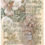 Ριζόχαρτο 5288K