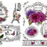 Ριζόχαρτο ST0160