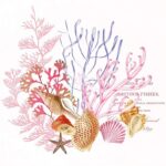 Χαρτοπετσέτα για Decoupage, Ocean coral, 1 τεμ.