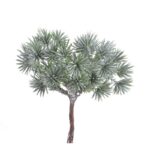 Μπουκέτο πεύκο μίνι με εφέ χιονιού 11cm