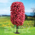 3 δεντράκια μινιατούρες