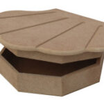 Κουτί κοχύλι KU43