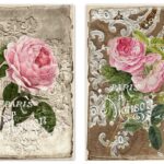 Ριζόχαρτο 1573