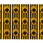 Ριζόχαρτο ST0161