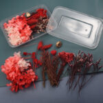 Αποξηραμένα λουλούδια για Ρητίνη, Ορτανσία και κλαδιά