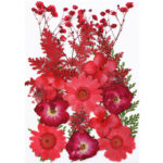 Πεπιεσμένα λουλούδια για Ρητίνη – Κόκκινα