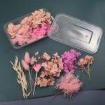 Αποξηραμένα λουλούδια για Ρητίνη – Ροζ