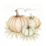 Χαρτοπετσέτα για decoupage, 1 τεμ, Κολοκύθες shabby