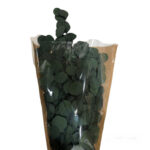 Αποξηραμένο φυτό Ευκάλυπτος, Πράσινο, 100γρ.