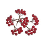 Βατόμουρα κόκκινα μίνι ματσάκι, 7cm