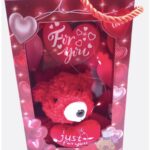 Τσαντάκι με λούτρινο κόκκινο αρκουδάκι φωτιζόμενο 12x6x18cm