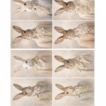 Ριζόχαρτο Maja’s Memories, 30x42cm, Βικτωριανοί Λαγοί, MDR1150